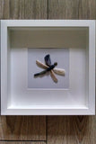 Pebble Art - Dragonfly. Beautiful natural Dragonfly made from shells and pebbles collected from Dublin beaches.